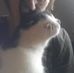 Profile Picture of Peter Huss (@peter.huss.79) on Facebook