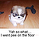 Profile Picture of P. Enis (@p. enis) on Flickr