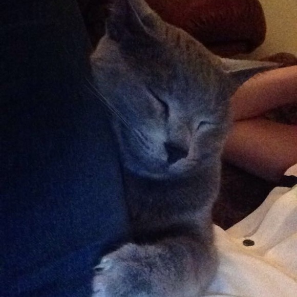 Christina Hayman - Poshmark Profile Picture of Christina Hayman (@momhayman) on Poshmark