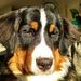 Profile Picture of Jason Bleacher (@bleacher0988) on Pinterest