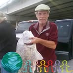 Profile Picture of Mark Breitkreuz (@Mark-Breitkreuz) on Facebook