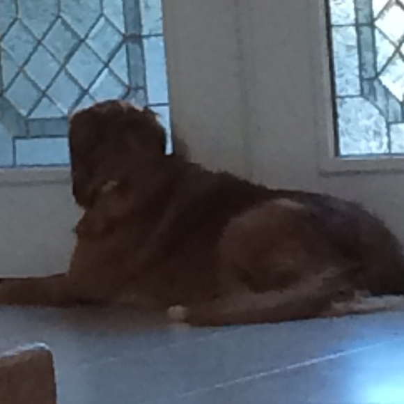 Profile Picture of Vince Jackson (@sellingonline28) on Poshmark