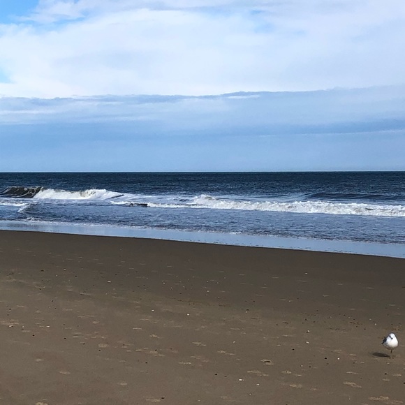 Profile Picture of Deb Burns (@dkb359) on Poshmark