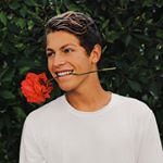 Profile Picture of Stokes, Brent, Ben, Lexi (@stokes.brent.ben) on Instagram