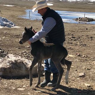 Profile Picture of Craig Ruch (@craig.ruch.501) on Facebook