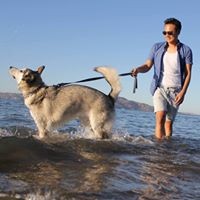 Zachary Chang - Quora Profile Picture of Zachary Chang (@zachary-chang-2) on Quora