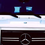 Profile Picture of sara_albin.ali (@sara_albin.ali) on Instagram