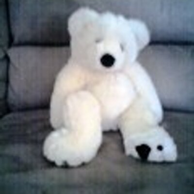 Profile Picture of Ted Bare (@TBare200) on Twitter