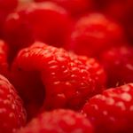 Profile Picture of Crystal Nance Foodtography (@crystalnancefoodtography) on Instagram