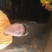 Profile Picture of Greg Persinger (@greg.persinger.71) on Facebook