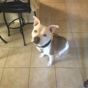 Profile Picture of Brandon Grimes (@brandongrimes6852) on Youtube