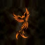 Profile Picture of luckylooser (@helio_rocha2050) on Instagram