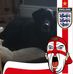 Profile Picture of Stuart De Meyer (@stuart.demeyer) on Facebook