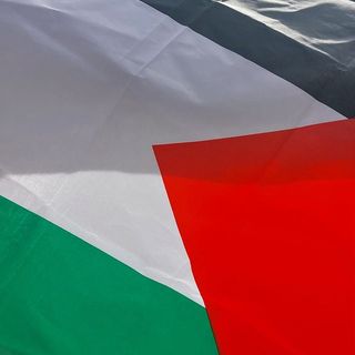 Profile Picture of Lorraine Cleary (@lorraineclearystudio) on Instagram