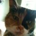 Profile Picture of Janet Mellor (@janet.mellor.9) on Facebook