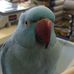 Profile Picture of Stewart Ellis (@stewart.ellis.161) on Facebook