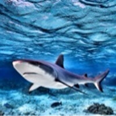 Profile Picture of John_Licks (@john_licks) on Twitter