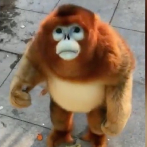 Profile Picture of Kaeden Puttick (@kaedenputtick) on Poshmark