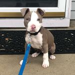 Barry Gallante - Instagram Profile Picture of Barry Gallante (@barrythekid1) on Instagram