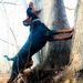 Profile Picture of Dylan Nance (@dylannance15) on Pinterest