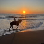 Profile Picture of Alondra Santacruz (@alondra.santacruz.1) on Facebook