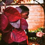 VICTOR ashbyyy - Instagram Profile Picture of VICTOR ashbyyy (@_kin.yua_) on Instagram