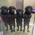 Profile Picture of Dennis McFadden (@dmcfadd) on Instagram