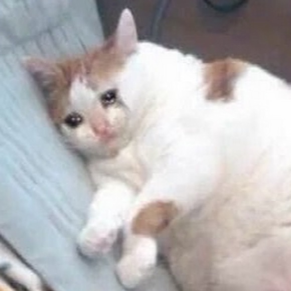 Profile Picture of Jade Cappitelli (@kerokerokero) on Poshmark