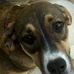 Profile Picture of Donna Berkeley (@donna.berkeley.1) on Facebook