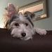 Profile Picture of Mandy Perkins (@mandy.perkins.1272) on Facebook
