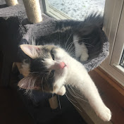 Profile Picture of Olivia McGrath (@oliviamcgrath8702) on Youtube