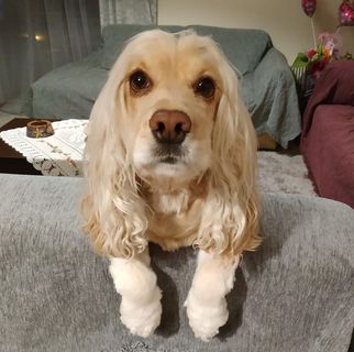 Profile Picture of Thodoris Athanasopoulos (@thodoris.athanasopoulos.1) on Facebook