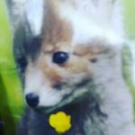 Profile Picture of amada chavez (@amada9426) on Instagram