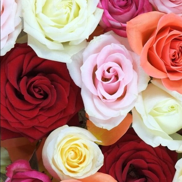 Profile Picture of Ericka Hayden (@haydenericka) on Poshmark