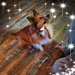 Profile Picture of Leaette Thompson Tharp Lally (@leaette.lally) on Facebook