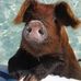 Profile Picture of Jim Rasmussen (@jim.rasmussen.522) on Facebook