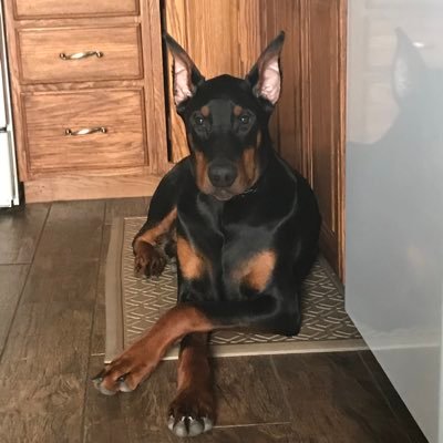 Profile Picture of Bryan (@Robie1217) on Twitter