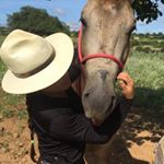Profile Picture of JANAINA SILVA ❤️🐴 (@janamello3) on Instagram