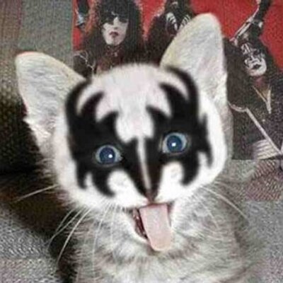 Profile Picture of Nick Gillott (@Greywerewolf) on Twitter