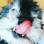 Profile Picture of Grant Suderman (@grantsuderman) on Instagram