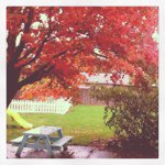 Profile Picture of Gina Snider (@ginasnider) on Instagram