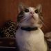 Profile Picture of Mario Fresquet Boix (@mario.fresquetboix.5) on Facebook