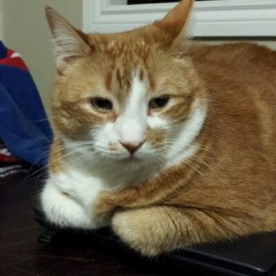 Profile Picture of Nancy A Dostie (@8NYG8) on Twitter