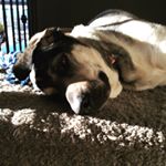 Profile Picture of Aaron.coleman (@aaron.coleman360) on Instagram