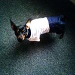 Profile Picture of John Hesser (@hesser43) on Instagram