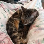 Profile Picture of Beverley Omeara (@Beverley-Omeara) on Facebook