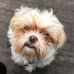 Profile Picture of Laurie Bachelder (@laurie.bachelder.5) on Facebook