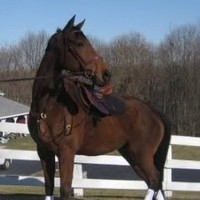 Profile Picture of Cathy Ann Savino-kedzierski (@cathy-ann-savino-kedzierski) on Quora