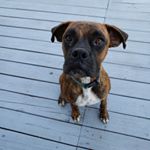 Profile Picture of Jacob Kincaid (@f_u_n_n_y_n_e_s_s4423) on Instagram