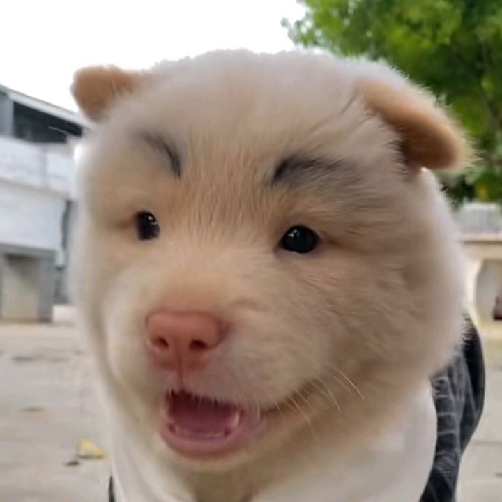 Profile Picture of Bertha Bailey (@alanaadelynnvbhu) on Tiktok